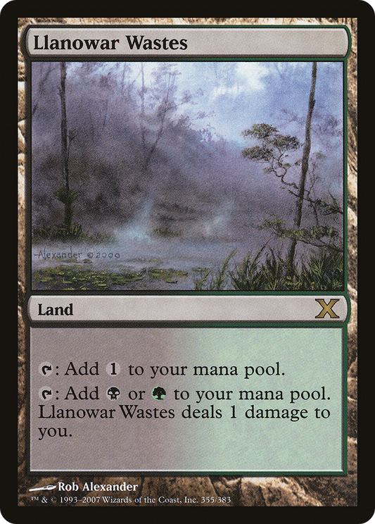 Llanowar Wastes (10E-355) - Tenth Edition Foil